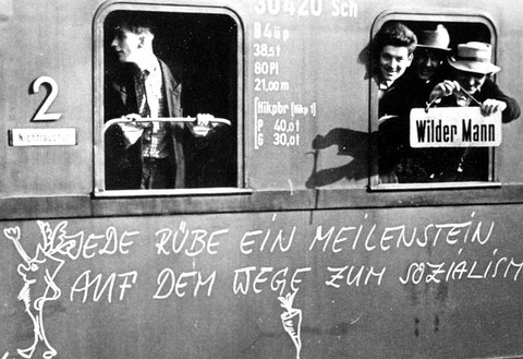 Rübenernte Buch