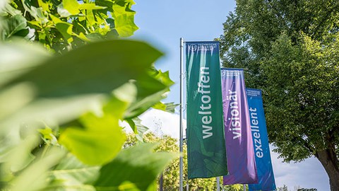 Exzellenzfahnen