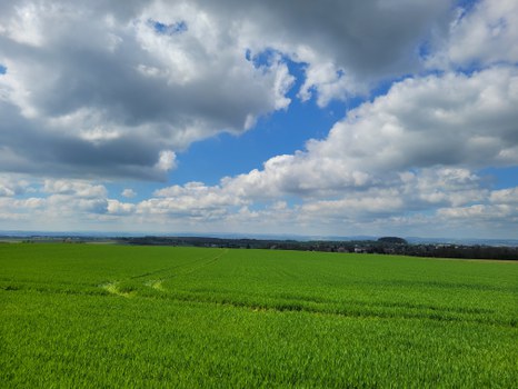 Landschaft