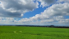 Landschaft