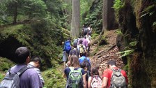 Excursion to the "Sächsische Schweiz"