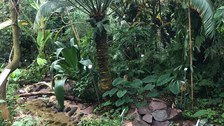 Botanischer Garten_2
