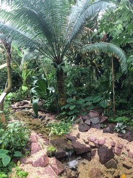 Botanischer Garten_2