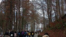 Neuschwanstein