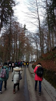 Neuschwanstein