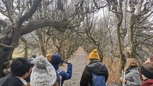 Pulsnitz Park