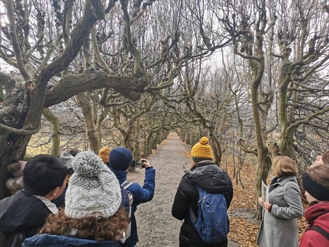 Pulsnitz Park