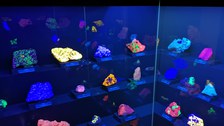 Freiberg - Terra Mineralia Schwarzlicht