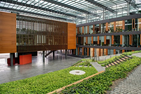 Das Foto zeigt das Foyer des Gebäudes für Biologie. Im Vordergrund erkennt man viele Pflanzen. Diese sind rund um die Treppen angepflanzt. Auch die großen Glasfronten der einzelnen Seminarräume sind erkennbar.