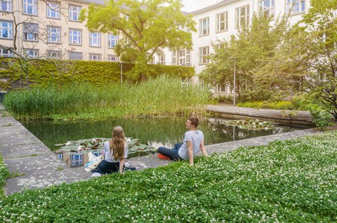 Das Foto zeigt zwei Studierende an einem Teich hinter dem Barkhausen-Bau der TU Dresden. Sie sitzen nebeneinander, halten aber 1,5 Meter Abstand zueinander. Auf der großen Wiese im Vordergrund blüht weißer Klee.