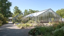 Gewächshaus Botanischer Garten