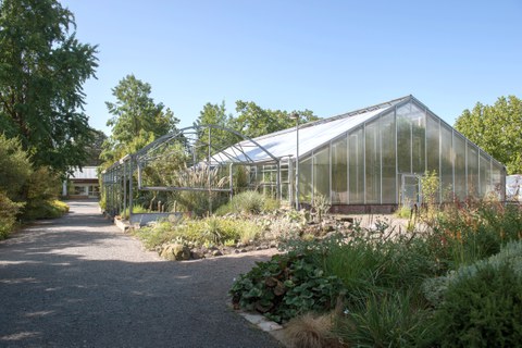Gewächshaus Botanischer Garten