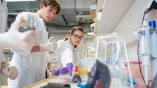 Schüler im Kittel stehen im Labor. Mitarbeiterin im Kittel nimmt Petrischale. Schüler daneben hält Pipette und schaut zur Petrischale.