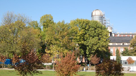 Wiese hinter dem HSZ mit Blick auf die Baumreihe vor dem Beyer-Bau.