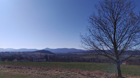 Photo. Spring. View of field with village in the distance. A tree in the right foreground.