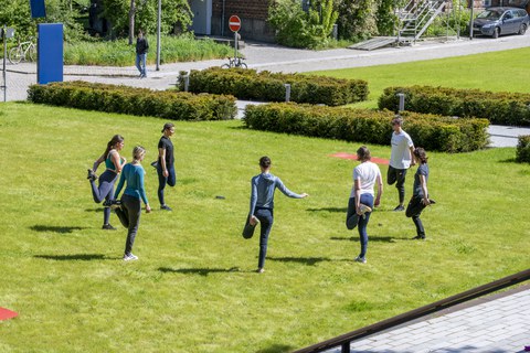 Photo showing a group of people in athletic clothes on the lawn doing sports. 