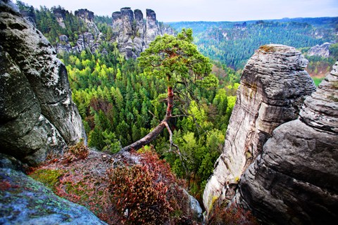 Photo of cliff formations in the Saxon Switzerland