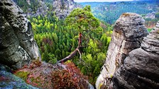 Photo of cliff formations in the Saxon Switzerland