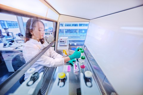 Foto aus dem Biolabor, eine Wissenschaftllerin beim Kultivieren embryonaler Maus-Stammzellen