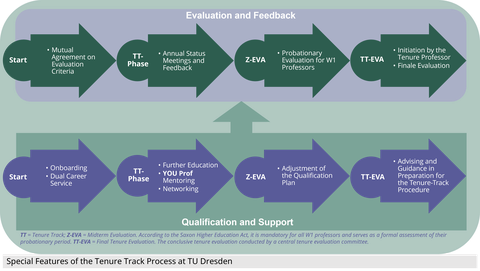 Darstellung eines typischen zeitlichen Verlaufs der Tenure-Evaluation