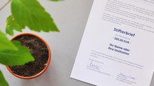 Patenbaum Stifterbrief