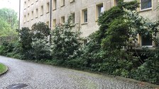Innenhof Tillichbau und Hülssebau