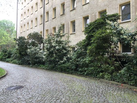 Innenhof Tillichbau und Hülssebau