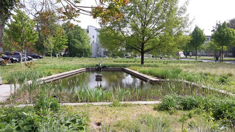 Teich am Andreas Schubertbau