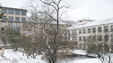 Senk-Garten im Winter, Schneeweiß