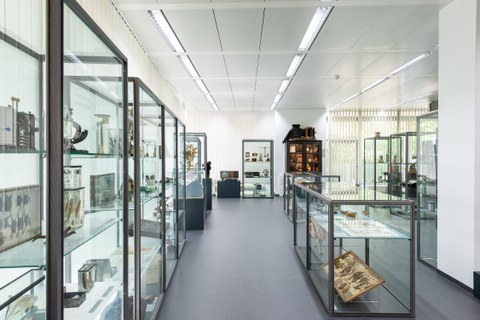 Foto der Dauerausstellung in der Kustodie mit großen Glasvitrine, in denen verschiedene Ausstellungsstücke sind