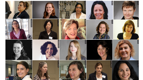 Collage Eleonore Trefftz Programme for Visiting Women Professors