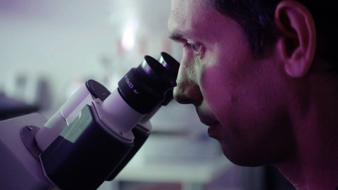 Nahaufnahme Professor Campàs wie er in ein Mikroskop blickt