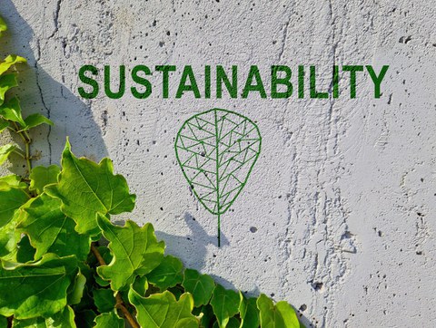 The word "Sustainability" is written in green letters on a concrete wall, and green branches grow along the wall