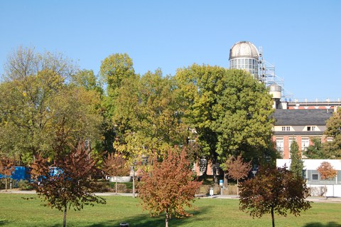 Lawn behind the Auditorium Center with a view of the row of trees in front of the Beyer building.