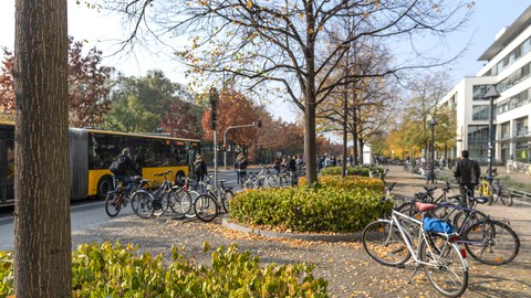 Several road users are travelling by bike, bus and on foot on Zellescher Weg.