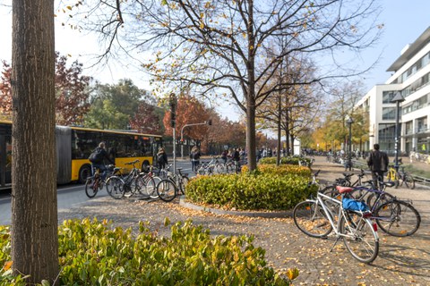 Several road users are travelling by bike, bus and on foot on Zellescher Weg.