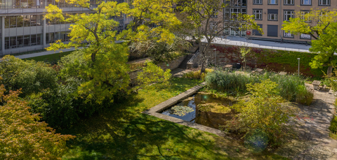 Photo of the park behind the Barkhausen buildin, showing lots of greenery and a small pond