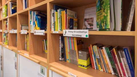 Bookshelf with books