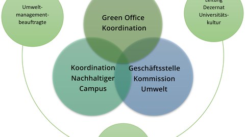 TÖEkoNa Schema