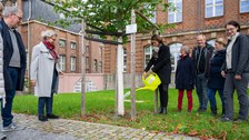 Patenbaum wird gegossen