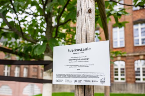 Schild des Patenbaums
