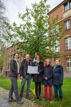 Rektorat an Baum beim Gießen
