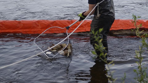 Foto eines Gewässers, recht steht eine Person, die einen Kescher ins Wasser hält. Darin befinden sich quadratische Pappstücke. Im Hintergrund