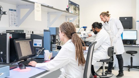 Forscher arbeiten in einem Labor.