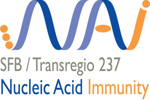 Logo SFB/TRR 237