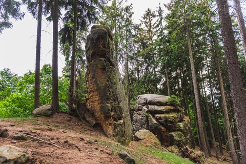 Ein Felsen steht im Wald.