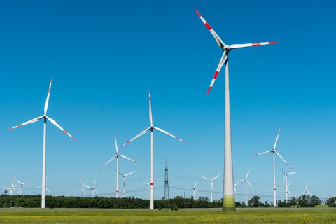 Windräder stehen auf einer grünen Wiese vor blauem Himmel.