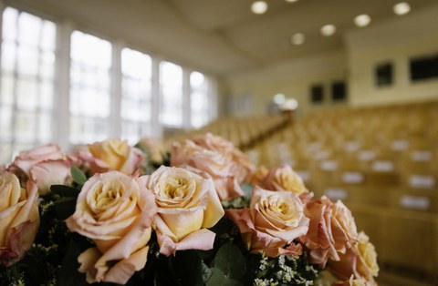 Rosen vor einem leeren Hörsaal.