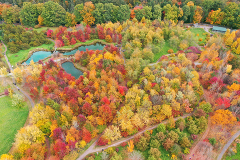 Forstbotanischer Garten der TU Dresden von oben, man sieht viel buntes Herbstlaub.