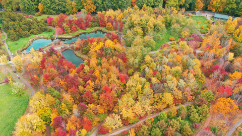 Forstbotanischer Garten der TU Dresden von oben, man sieht viel buntes Herbstlaub.